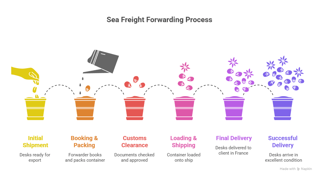 sea import freight forwarding process