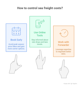 international ocean freight rates