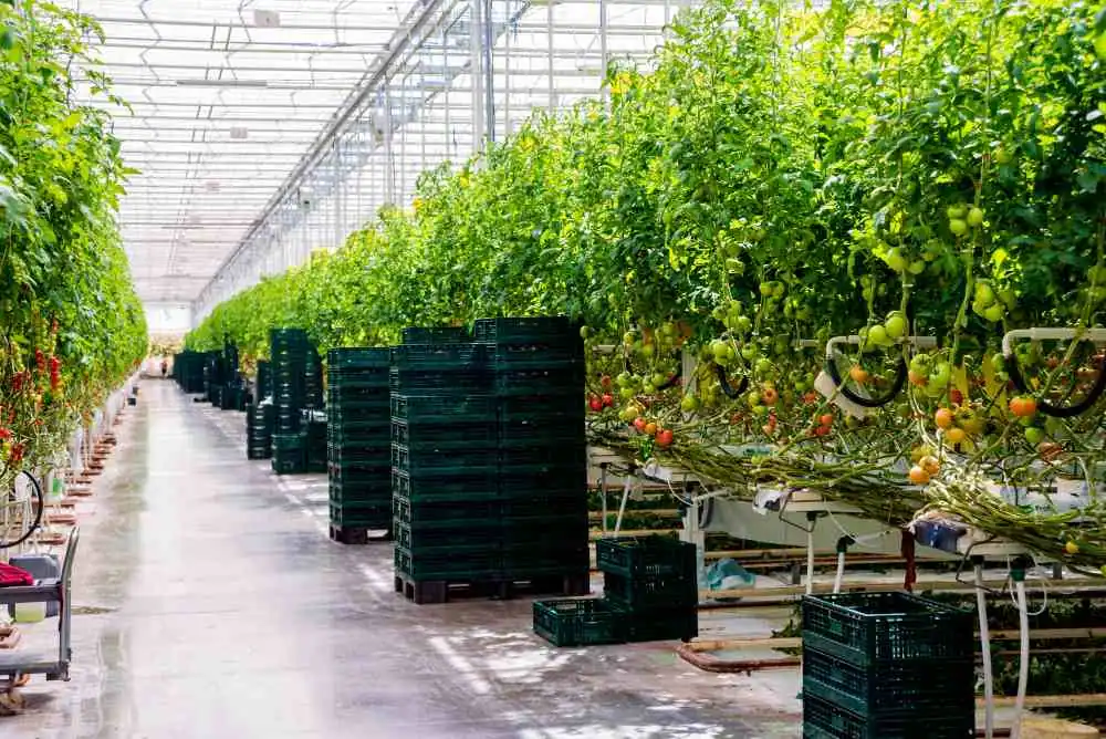 agriculture transportation services