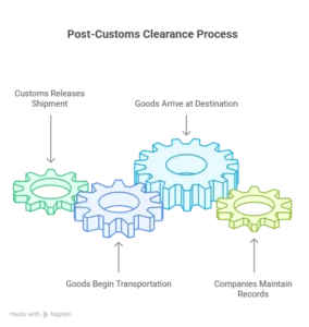post customs clearance process